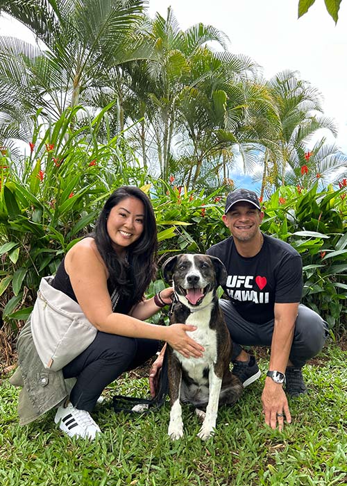 Hawaii Island Humane Society adoption process showing the steps to adopt a pet in Hawaii